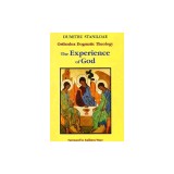 Orthodox Dogmatic Theology Vol 1