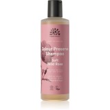 Urtekram Soft Wild Rose sampon delicat pentru păr vopsit 250 ml