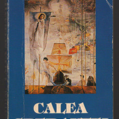 C9995 - CALEA SPERANTEI - SIMON WIESENTHAL