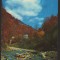 CPIB 21436 - CARTE POSTALA - CORMAIA. CABANA &quot;FARMECUL PADURII&quot;, JUD. BISTRITA N