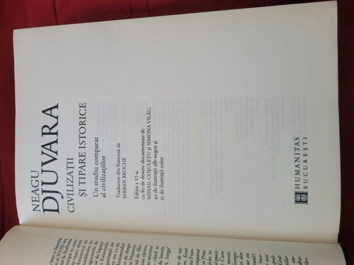 Neagu Djuvara - Civilizații și tipare istorice (ediție ilustrată)