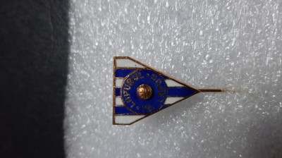 insigna Lapusul Tg. Lapus foto