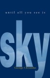 Until All You See Is Sky