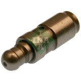 Schaeffler INA culbutor supapa