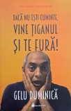 Daca nu esti cuminte, vine tiganul si te fura!. Mituri, prejudecati si adevaruri despre romi - Gelu Duminica