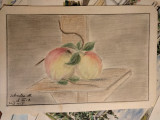 Natura statica cu mere, 1958, desen in creion, Carbune, Realism