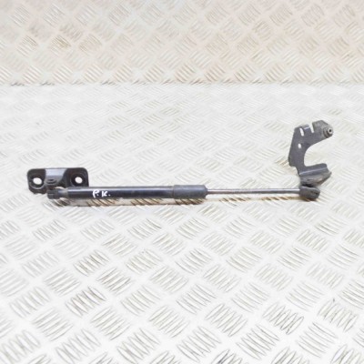 Amortizor capota st&amp;acirc;nga față TESLA MODEL 3 2021 OEM: 1645989-00-A 20808650 foto