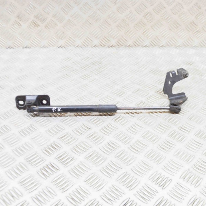 Amortizor capota st&acirc;nga față TESLA MODEL 3 2021 OEM: 1645989-00-A 20808650