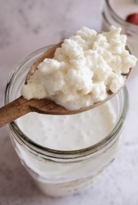 Kefir de lapte și Chefir de apă foto