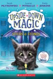 Sticks &amp; Stones (Upside-Down Magic #2)