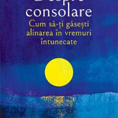 Despre consolare. Cum sa-ti gasesti alinarea in vremuri intunecate - Michael Ignatieff