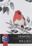 BLOC DESEN OXFORD DRAWING A4 40F 160G/MP FSC&Acirc;&reg; MIX70% COLECTIA ARTISTIC