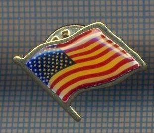 AX 1022 INSIGNA - DRAPELUL STATELOR UNITE ALE AMERICII -PENTRU COLECTIONARI foto
