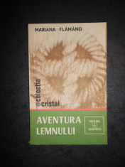 MARIANA FLAMAND - AVENTURA LEMNULUI foto