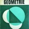 Edwin E. Moise - Geometrie