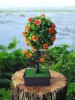 Bonsai artificial cu flori portocalii 28 cm, Oem