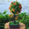 Bonsai artificial cu flori portocalii 28 cm