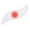 Lumina LED pentru spite bicicleta Iso Trade MY2910