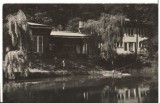 CPIB 22731 - CARTE POSTALA - SOVATA. LACUL NEGRU, BAILE CALDE, RPR, 1958, Circulata, Fotografie