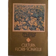 Cultura florii-soarelui &ndash; Hera Cristian