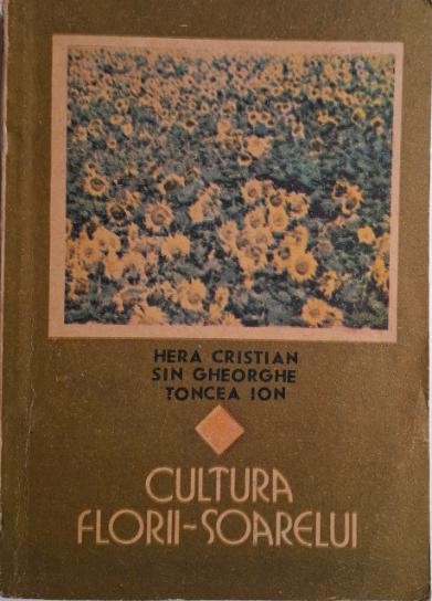 Cultura florii-soarelui &ndash; Hera Cristian