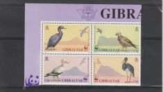 Fauna,pasari,protectia mediului WWF,Gibraltar foto