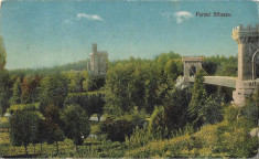 Carte postala Parcul Bibescu Craiova foto