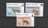Fauna ,pisici,Congo.