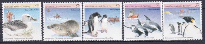 DB1 AAT Terit. Antarctice Australia 1988 Fauna Pasari Pinguini Foci 5 v. MNH