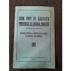 Cum pot fi salvate podgoriile si livezile noastre, solutii preconizate