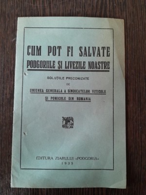 Cum pot fi salvate podgoriile si livezile noastre, solutii preconizate foto