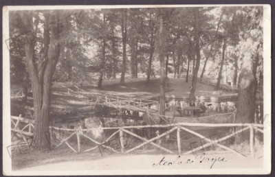 1743 - DEVA, Hunedoara, Park, Romania - old postcard, real Photo - used - 1935 foto