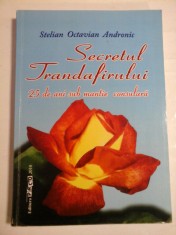 SECRETUL TRANDAFIRULUI 25 de ani SUB MANTIE CONSULARA - Stelian Octavian ANDRONIC foto