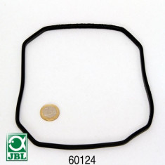 Garnitura capac filtru acvariu JBL CP e700/e900 Pump head rubber gasket foto