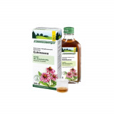 Extract Natural de Echinaceea Schoenenberger 200ml