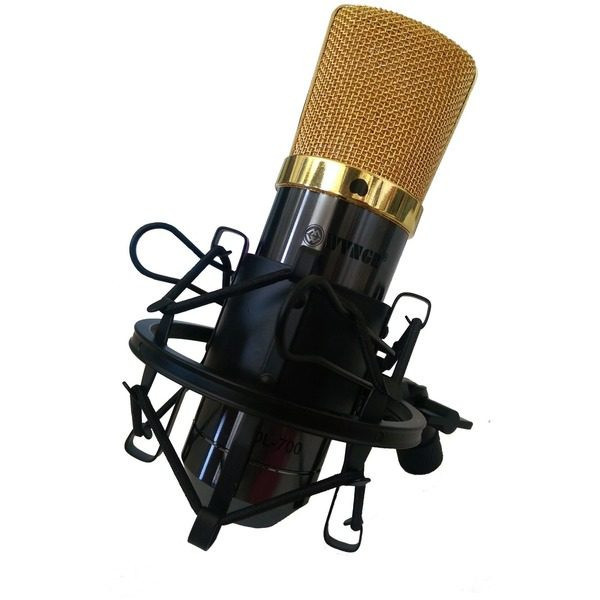 Microfon profesional pentru studio de inregistrari cu fir,DL-700, WVNGR |  Okazii.ro