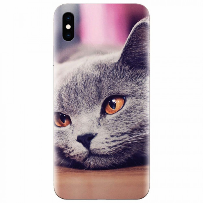 Husa silicon pentru Apple Iphone XS Max, British Shorthair Cat Yellow Eyes Portrait