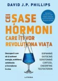 Cei șase hormoni care &icirc;ți vor revoluționa viața - Paperback brosat - David J.P. Phillips - Litera