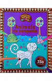 Coloreaza dupa numere. Animale de companie - Kreativ