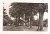 RF103 - Carte Postala - Falticeni. Casa in care a locuit M. Sadoveanu, necirculata