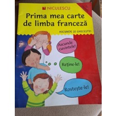 PRIMA MEA CARTE DE LIMBA FRANCEZA ASCUNDE SI GHICESTE ! - CATHERINE BRUZZONE