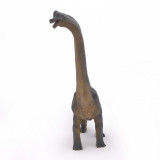 Figurina - Dinosaurs - Brachiosaurus | Papo
