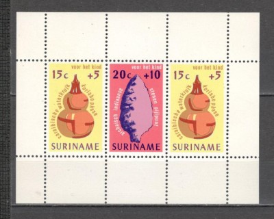 Surinam.1975 Pentru copil-Bl. GZ.133 foto