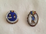 Doua insigne romanesti cu tematica cultural-sportiva