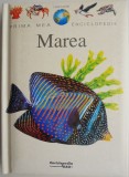 Prima mea enciclopedie. Marea - Carte pentru copii, enciclopedie ilustrata