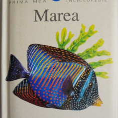 Prima mea enciclopedie. Marea