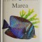 Prima mea enciclopedie. Marea