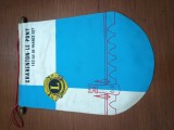 fanion Splendid matase LIONS INTERNATIONAL CARENTON LE PONT