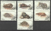 Madagascar 1993 Molluscs, used AH.049, Stampilat