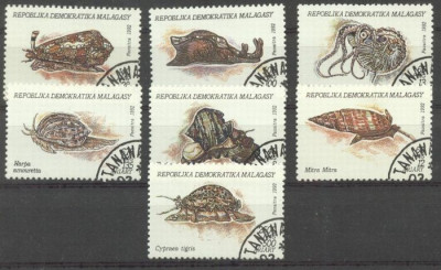 Madagascar 1993 Molluscs, used AH.049 foto